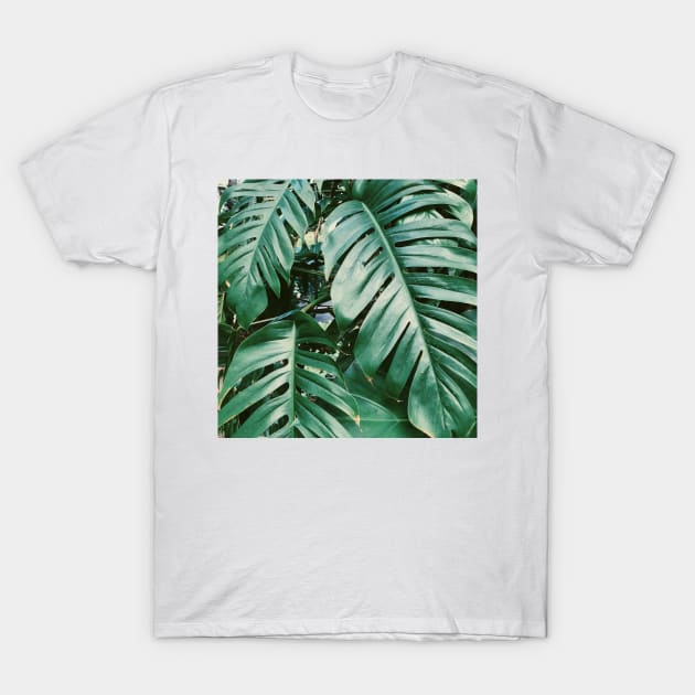 Green Palm Tree T-Shirt by AlexandraStr